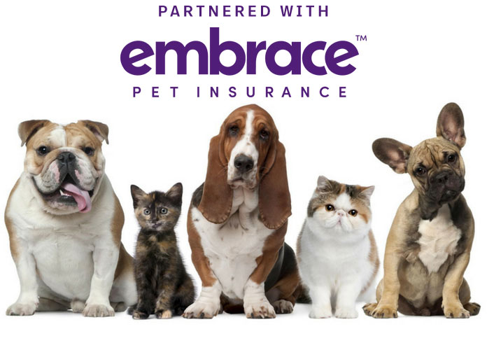 MBA Insurance is an Embrace Pet Insurance partner.