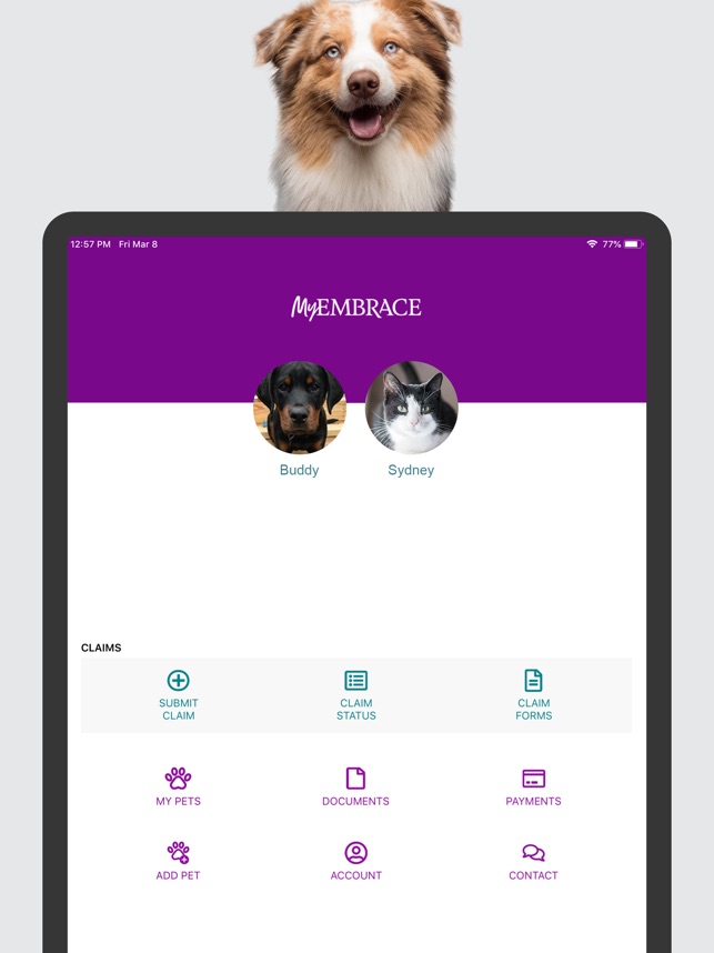 A screenshot of the Embrace Pet Insurance phone application